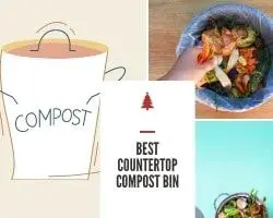 Best Countertop Compost Bin Kitchen Compost Bin No Fruit Flies