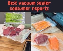 Best Vacuum Sealer Consumer Reports