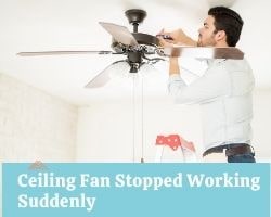 Ceiling Fan Stopped Working Suddenly