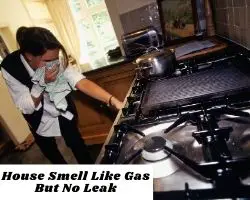 House Smell Like Gas But No Leak