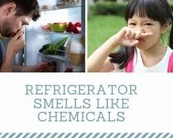 Refrigerator Smells Like Chemicals