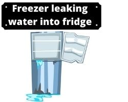 Freezer Leaking Water Into Fridge