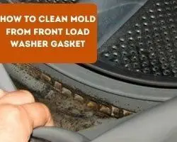 How To Clean Mold From Front Load Washer Gasket