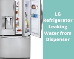 Lg Refrigerator Leaking Water From Dispenser