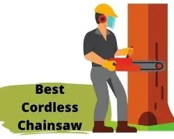 best cordless chainsaw consumer reports