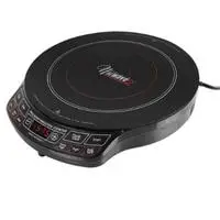 best large portable induction cooktop
