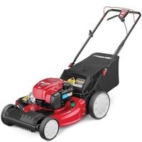 briggs and stratton lawn mower won't start after sitting 2021