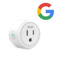 connect the gosund smart plug to google