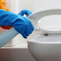 remove toilet mold using vinegar,