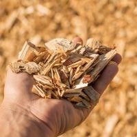 identify the correct wood chip