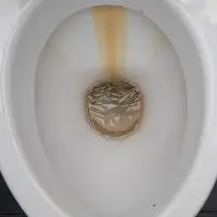 remove limescale from toilet below waterline