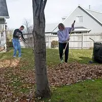 clean up the yard