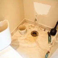 removing a toilet flange