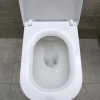 toilet water rises too high when flushed