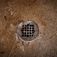 basement floor drain backing up with poop 2022