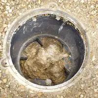 basement floor drain backing up with poop