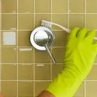 clean the shower from the handle