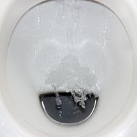 flush the toilet harder