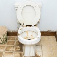 how to clean a badly stained toilet