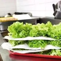 how to dry lettuce without a salad spinner 2022