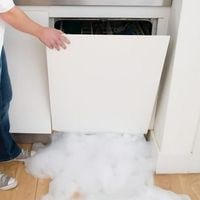 how to get dish soap out of dishwasher 2022