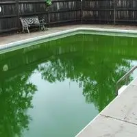 how to remove algae from pool without a vacuum 2022