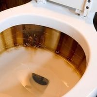 how to remove rust stains from toilet bowl naturally 2022