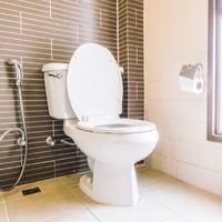 pros and cons of upflush toilet 2022