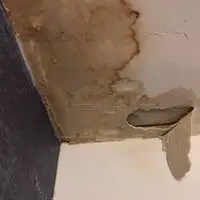 shower drain leaking through ceiling 2022