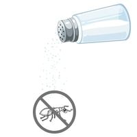 will salt kill fire ants