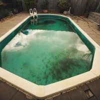 remove algae from pool without a vacuum