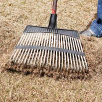 best rake for grass clippings 2022