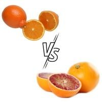 cara cara vs blood orange 2022