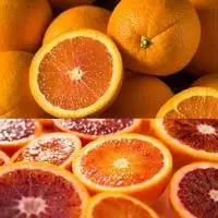 cara cara vs blood orange