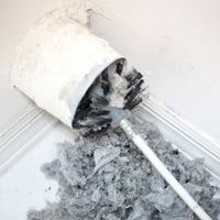 clean the vent hose
