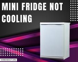 mini fridge not cooling
