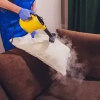 using steam cleaners