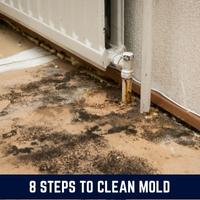 8 steps to clean mold