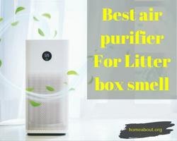 best air purifier for litter box smell