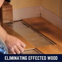 eliminating effected wood