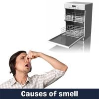 causes of smell