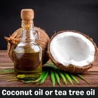 coconut oil or tea tree oil