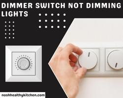 dimmer switch not dimming lights 2022