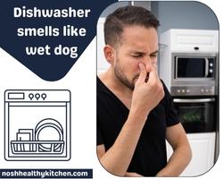 dishwasher smells like wet dog 2022