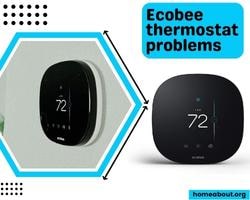 ecobee thermostat problems