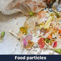 food particles