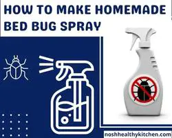 how to make homemade bed bug spray 2022
