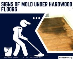 signs of mold under hardwood floors