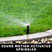 sound motion activated sprinkler