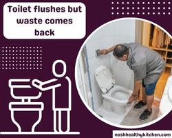 toilet flushes but waste comes back